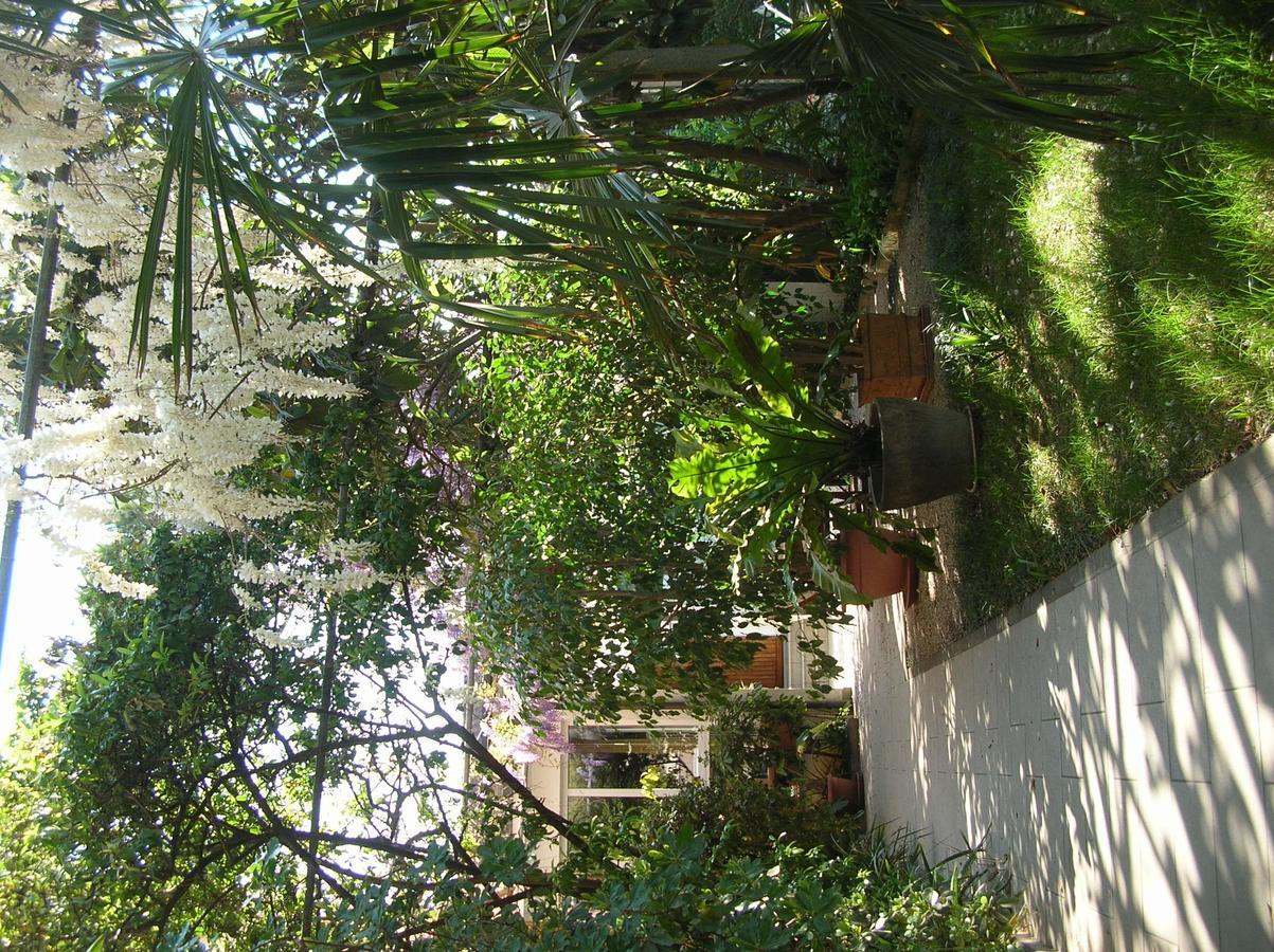 b&b undici Cervia Exterior foto